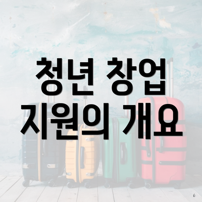 청년 창업 지원의 개요