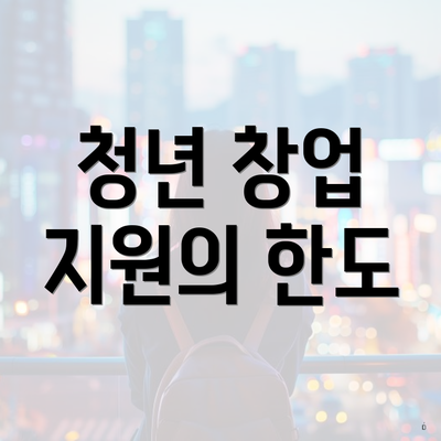 청년 창업 지원의 한도
