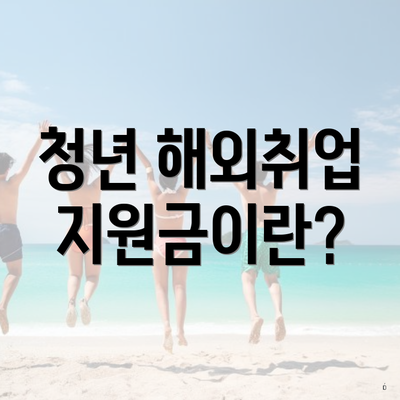 청년 해외취업 지원금이란?
