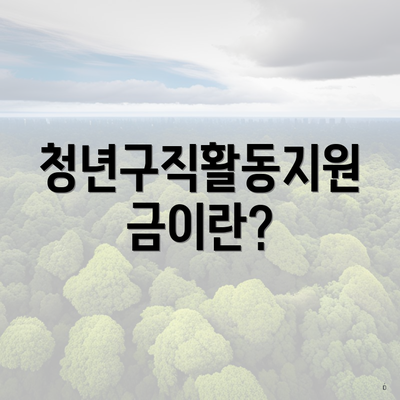 청년구직활동지원금이란?
