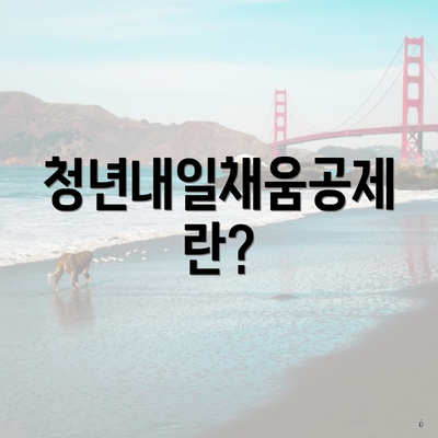 청년내일채움공제란?
