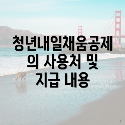 청년내일채움공제의 사용처 및 지급 내용