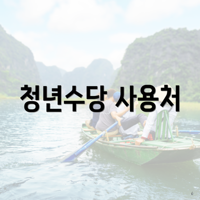 청년수당 사용처