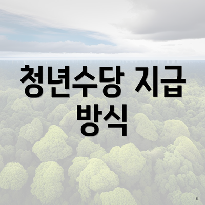 청년수당 지급 방식