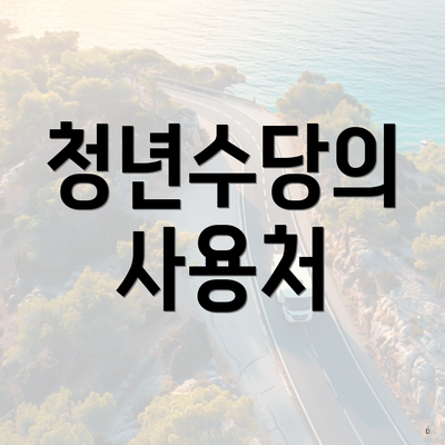청년수당의 사용처