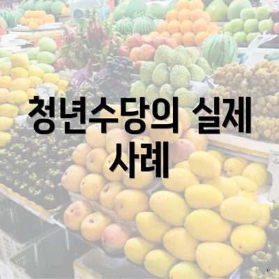 청년수당의 실제 사례