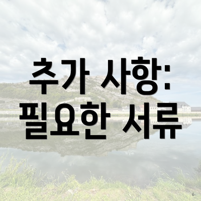추가 사항: 필요한 서류