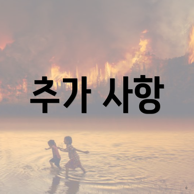 추가 사항