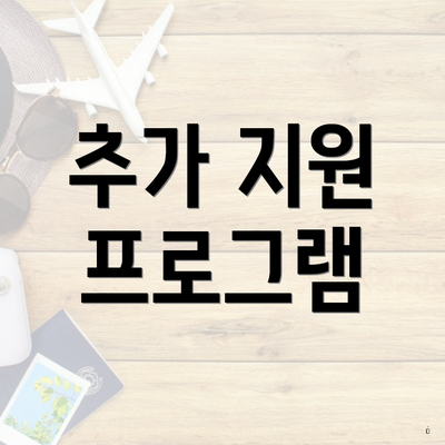 추가 지원 프로그램