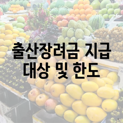 출산장려금 지급 대상 및 한도