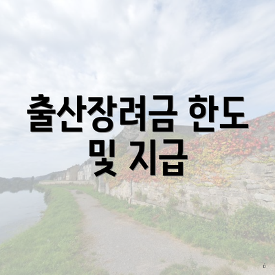 출산장려금 한도 및 지급