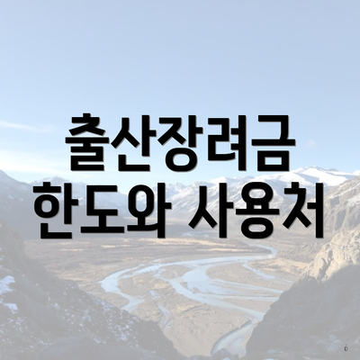 출산장려금 한도와 사용처