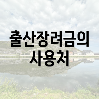 출산장려금의 사용처