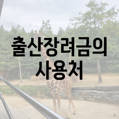 출산장려금의 사용처