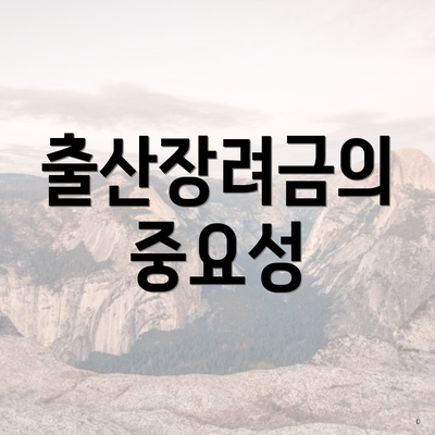 출산장려금의 중요성