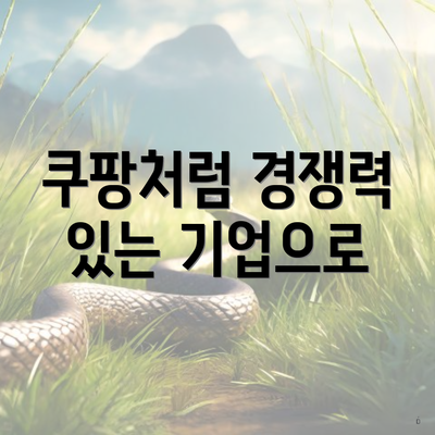 쿠팡처럼 경쟁력 있는 기업으로