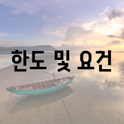 한도 및 요건