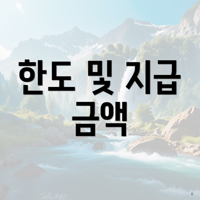 한도 및 지급 금액