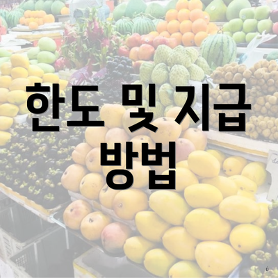 한도 및 지급 방법