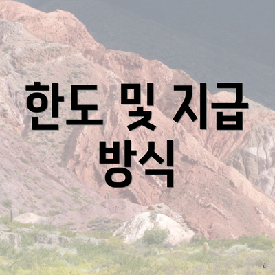 한도 및 지급 방식