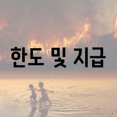 한도 및 지급