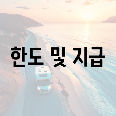 한도 및 지급
