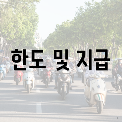 한도 및 지급