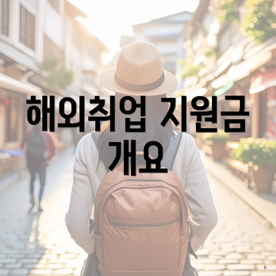해외취업 지원금 개요
