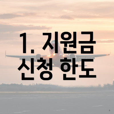 1. 지원금 신청 한도