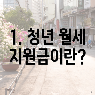 1. 청년 월세 지원금이란?