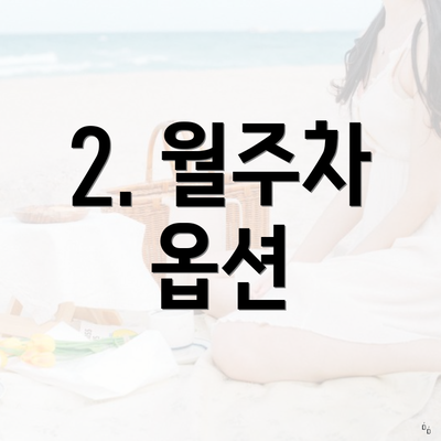2. 월주차 옵션