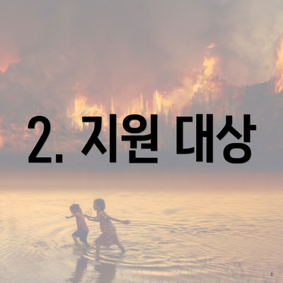 2. 지원 대상