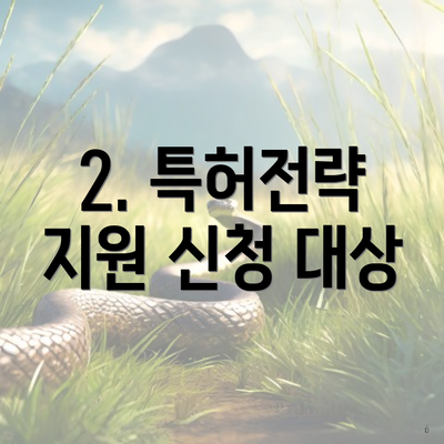 2. 특허전략 지원 신청 대상