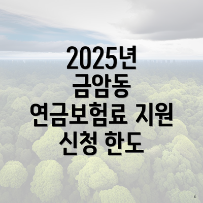 2025년 금암동 연금보험료 지원 신청 한도