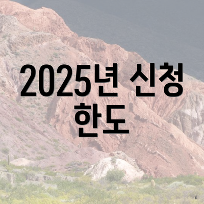 2025년 신청 한도