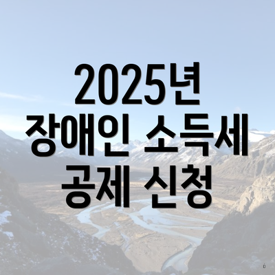 2025년 장애인 소득세 공제 신청