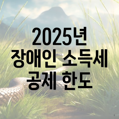 2025년 장애인 소득세 공제 한도