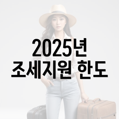 2025년 조세지원 한도