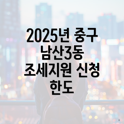 2025년 중구 남산3동 조세지원 신청 한도