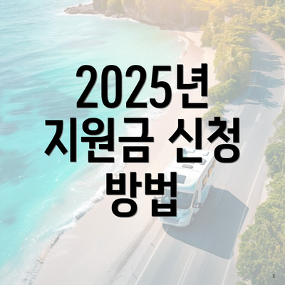 2025년 지원금 신청 방법