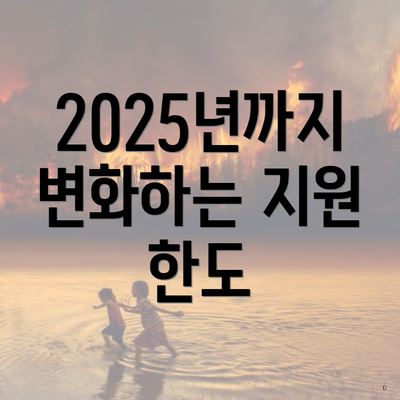 2025년까지 변화하는 지원 한도