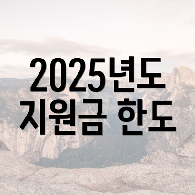 2025년도 지원금 한도