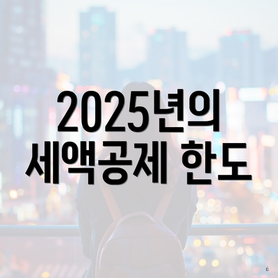 2025년의 세액공제 한도