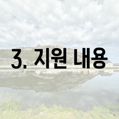 3. 지원 내용