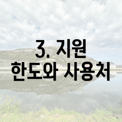 3. 지원 한도와 사용처