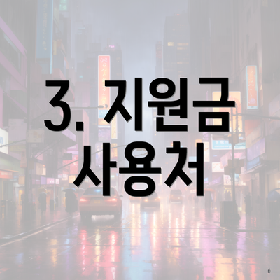 3. 지원금 사용처