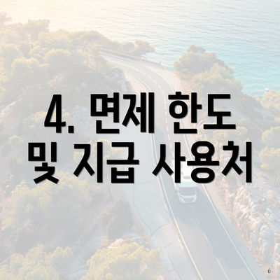 4. 면제 한도 및 지급 사용처