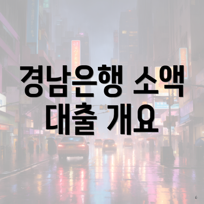 경남은행 소액 대출 개요