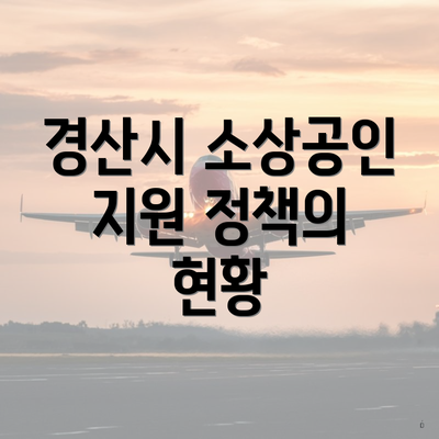 경산시 소상공인 지원 정책의 현황