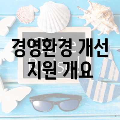 경영환경 개선 지원 개요